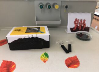 „Gujavice – inženjeri tla“