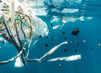 “Mikroplastika u vodnim tijelima”