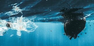 “Mikroplastika i ja”