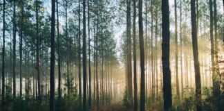 “Prirodne vrijednosti Slatine i okolice – 10 godina istraživanja i promicanja”