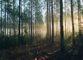 “Prirodne vrijednosti Slatine i okolice – 10 godina istraživanja i promicanja”