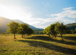 Stručni/a suradnik/ca- edukator/ica