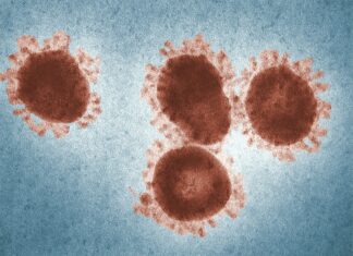 Obavijest o pismenom ispitu iz Virologije