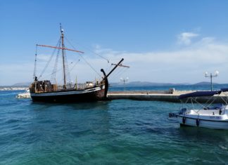 Učitelj/ica prirode i biologije