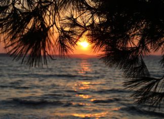 Učitelj/ica prirode