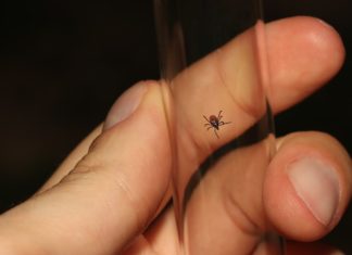 Učitelj/učiteljica prirode i biologije