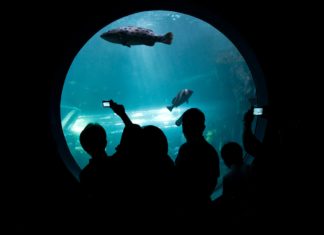 Nastavnik/ca biologije