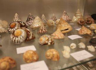 Obavijest o pismenom ispitu kod doc.dr.sc. A. Galir Balkić