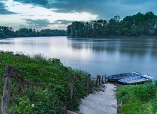 Učitelj/učiteljica biologije i kemije