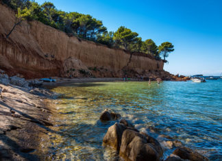 Učitelj/ica Prirode i Biologije