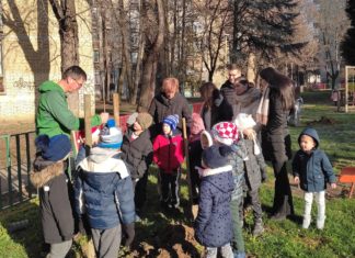 Zasadi stablo – ostavi trag (13.12.2022.)