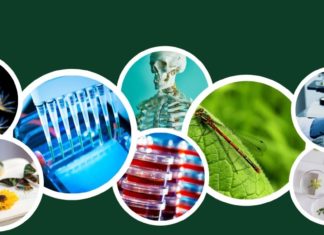 Obavijest o pismenim ispitima kod doc.dr.sc. Filipa Stevića