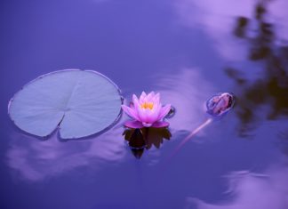 NASTAVNIK/NASTAVNICA BIOLOGIJE