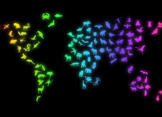 UČITELJ/ICA PRIRODE I BIOLOGIJE