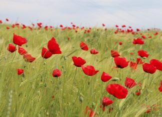 Obavijest za planinarenje