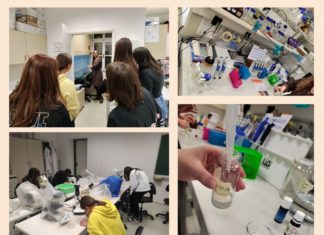 „Dezinficijensi – vlastita izrada i njihova učinkovitost“ – radionica (25. i 31.01.2023.)