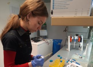 Radionica za učenike Gimnazije Vukovar (13.12.2022. i 20.12.2022.)