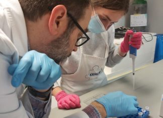 Radionica za OŠ Darda (10.01.2023.)