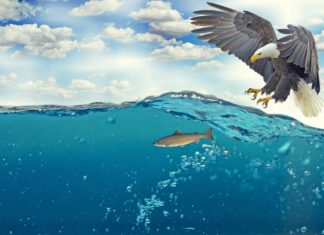 UČITELJ/UČITELJICA PRIRODE I BIOLOGIJE