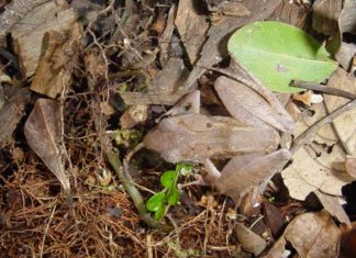 Rezultati pismenih ispita kod izv.prof.dr.sc. Valentine Pavić, održanih 17.04.2023.