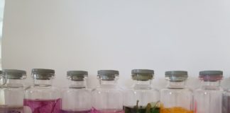 Male čarolije biologa