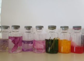 Male čarolije biologa