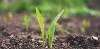 Dođi na blef i postani LabChef