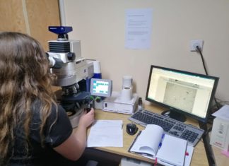 Stručno usavršavanje asistentice Nikoline Bek (21.11.-02.12.2022.)