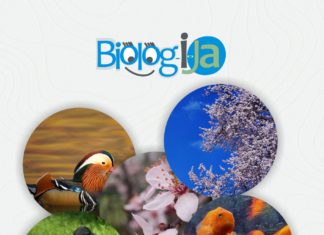 Odluka o izboru najbolje studentske fotografije u okviru projekta “Biolog-i-Ja”