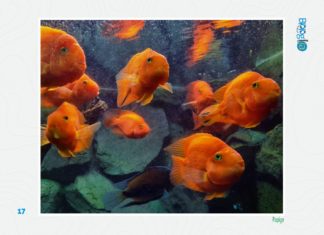 UČITELJ/ICA BIOLOGIJE