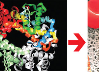 BIOKEMIJA – znanost o životu