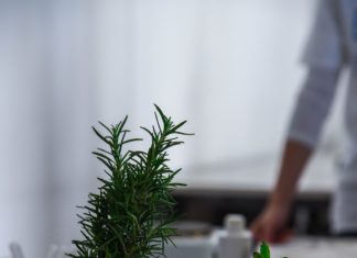 Obavijest o pismenom ispitu iz Anatomija biljaka