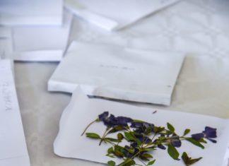 Obavijest o ispitima iz kolegija kod doc. dr. sc. Stevića