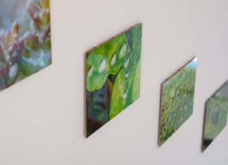 Rezultati pismenih ispita kod izv.prof.dr.sc. Valentine Pavić održanih 04.07.2023.