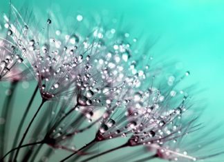 Postignuća naših nastavnika