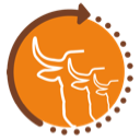 128-Cus-Logo@025x client-image