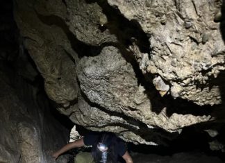 Projekt ALUMNI MENTOR u JU za upravljanje zaštićenim područjima Požeško – slavonske županije