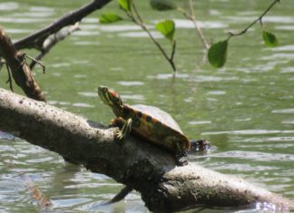 Obavijest o Stereokemijskom ispitu iz kolegija Organska kemija