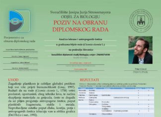 Obavijest o obrani diplomskog ispita studenta Petra Glavaša