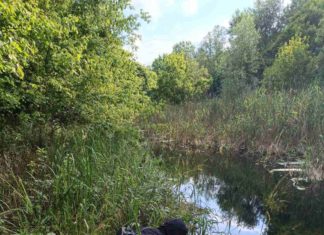 Obavijest o pismenom ispitu iz kolegija Anatomija biljaka