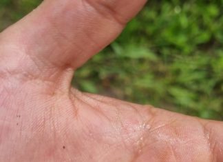 Obavijest o pismenim ispitima kod prof.dr.sc. Janje Horvatić u jesenskom roku 2023.