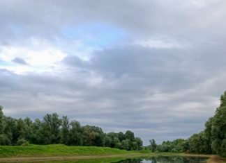 NASTAVNIK/NASTAVNICA BIOLOGIJE