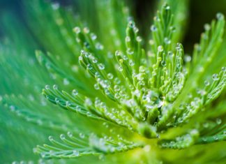 Obavijest o pismenim ispitima kod doc.dr.sc. A. Galir Balkić u jesenskom roku 2023. godine