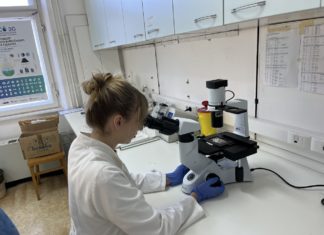 Projekt ALUMNI MENTOR u Centru za istraživanje mora na Institutu Ruđer Bošković u Rovinju