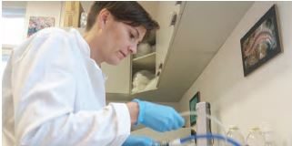 Različiti učinci okolišno relevantnih mješavina metal temeljnih nanočestica i pesticida na faunu tla: Nove smjernice za procjenu rizika (DEFENSoil)