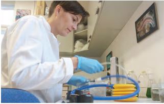 Različiti učinci okolišno relevantnih mješavina metal temeljnih nanočestica i pesticida na faunu tla: Nove smjernice za procjenu rizika (DEFENSoil)