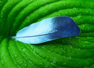 Stipendija Zaklade „Hrvatska za djecu“ studentima u redovitom statusu za akademsku godinu 2023./2024