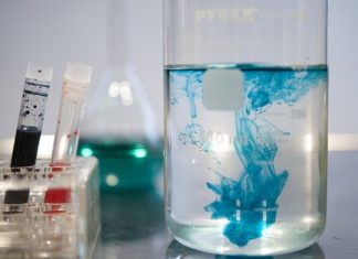 Povjerenstvo za dodjelu nagrada Odjela za biologiju u sastavu Sveučilišta Josipa Jurja Strossmayera u Osijeku objavljuje POZIV za dodjelu nagrada za akademsku 2022./2023. godinu