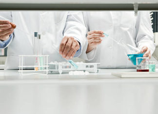 Obavijest o pismenom ispitu iz kolegija Anatomija biljaka i Morfologija biljaka s terenskom nastavom