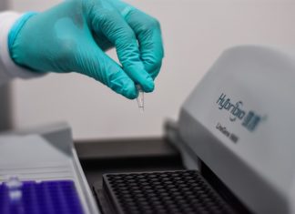 UČITELJ / UČITELJICA PRIRODE I BIOLOGIJE